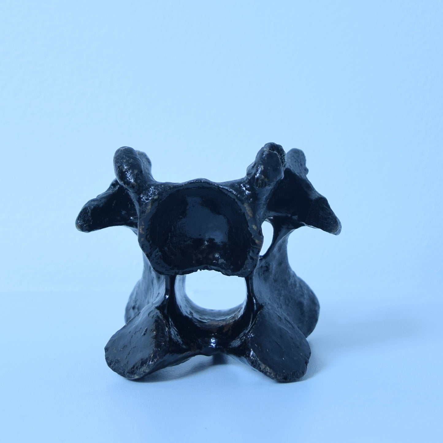 John Wesley horse/cow bone