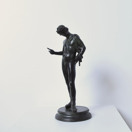 Narcissus Bronze