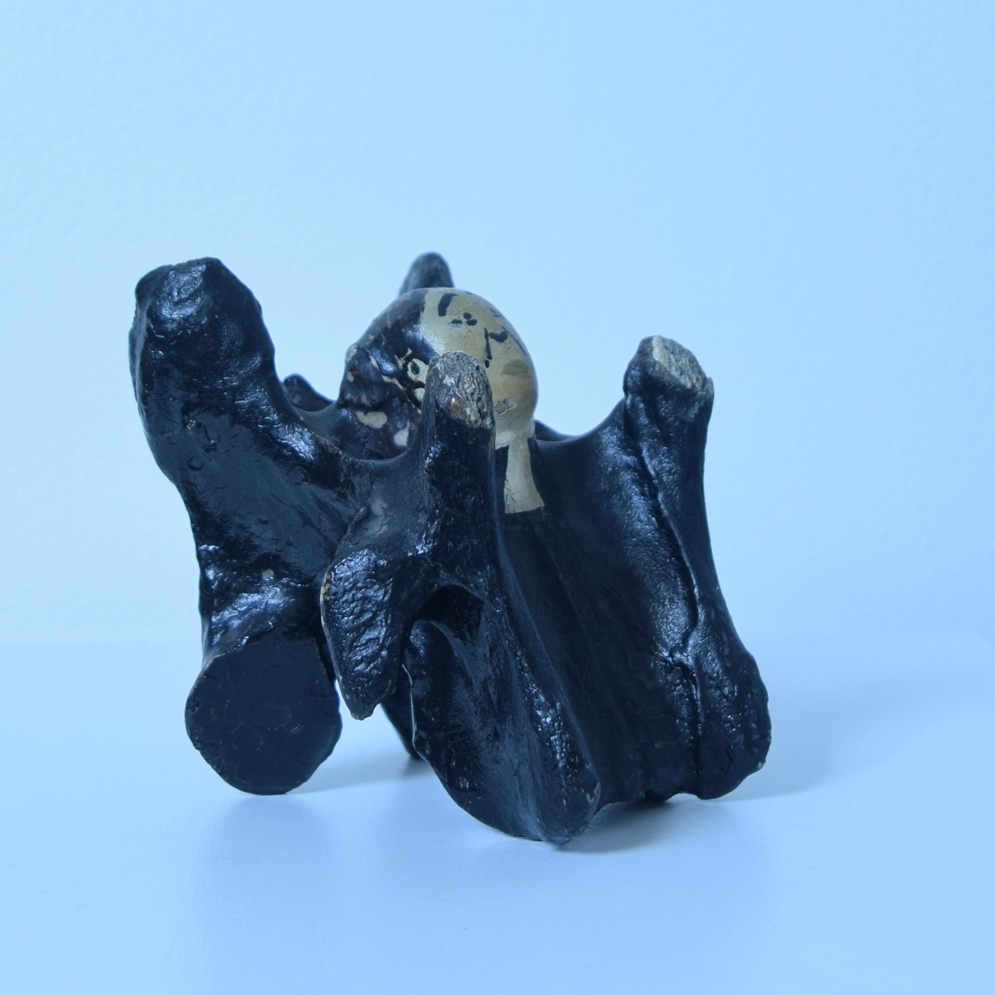 John Wesley horse/cow bone